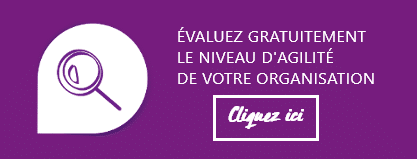 Bouton Diagnostic Agilite